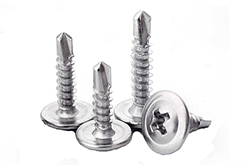 Modify Truss Head Self Drilling Screws SJ-3004